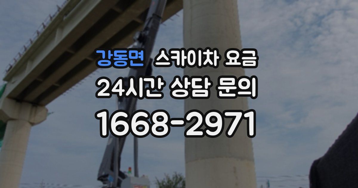 강동면 스카이차 요금