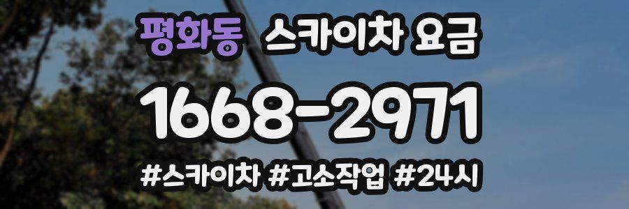 평화동 스카이차 요금