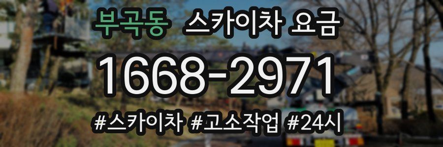 부곡동 스카이차 요금