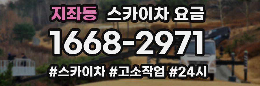지좌동 스카이차 요금