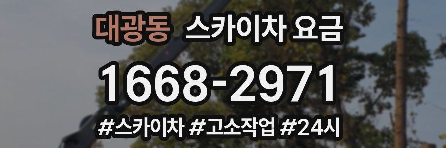 대광동 스카이차 요금