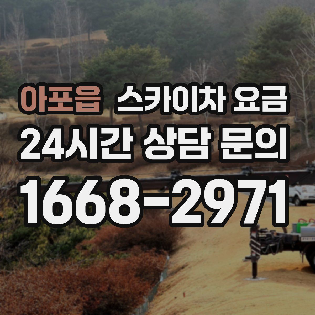 아포읍 스카이차 요금