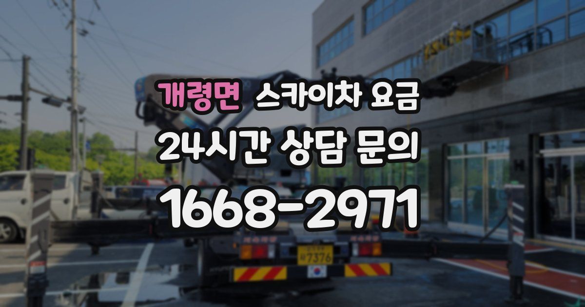개령면 스카이차 요금
