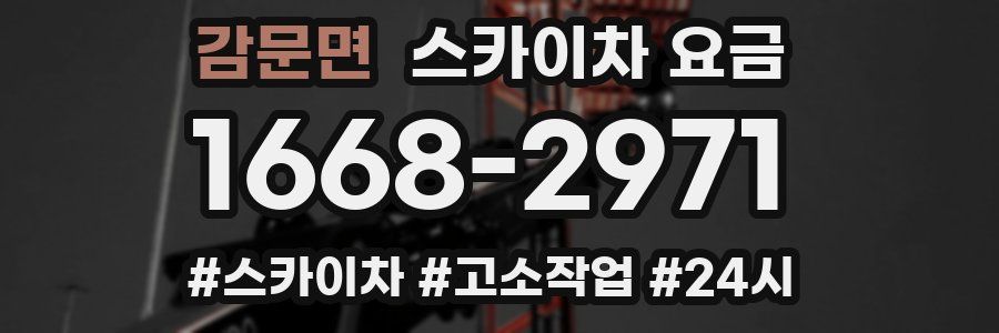 감문면 스카이차 요금