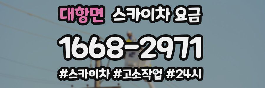 대항면 스카이차 요금