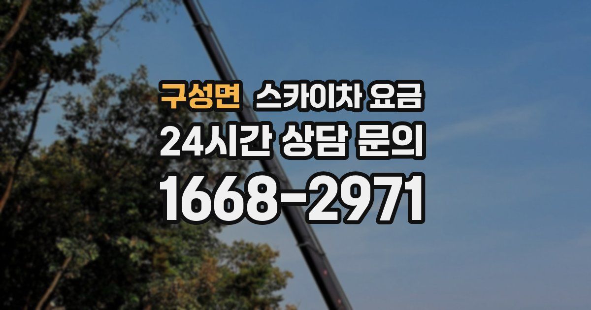 구성면 스카이차 요금
