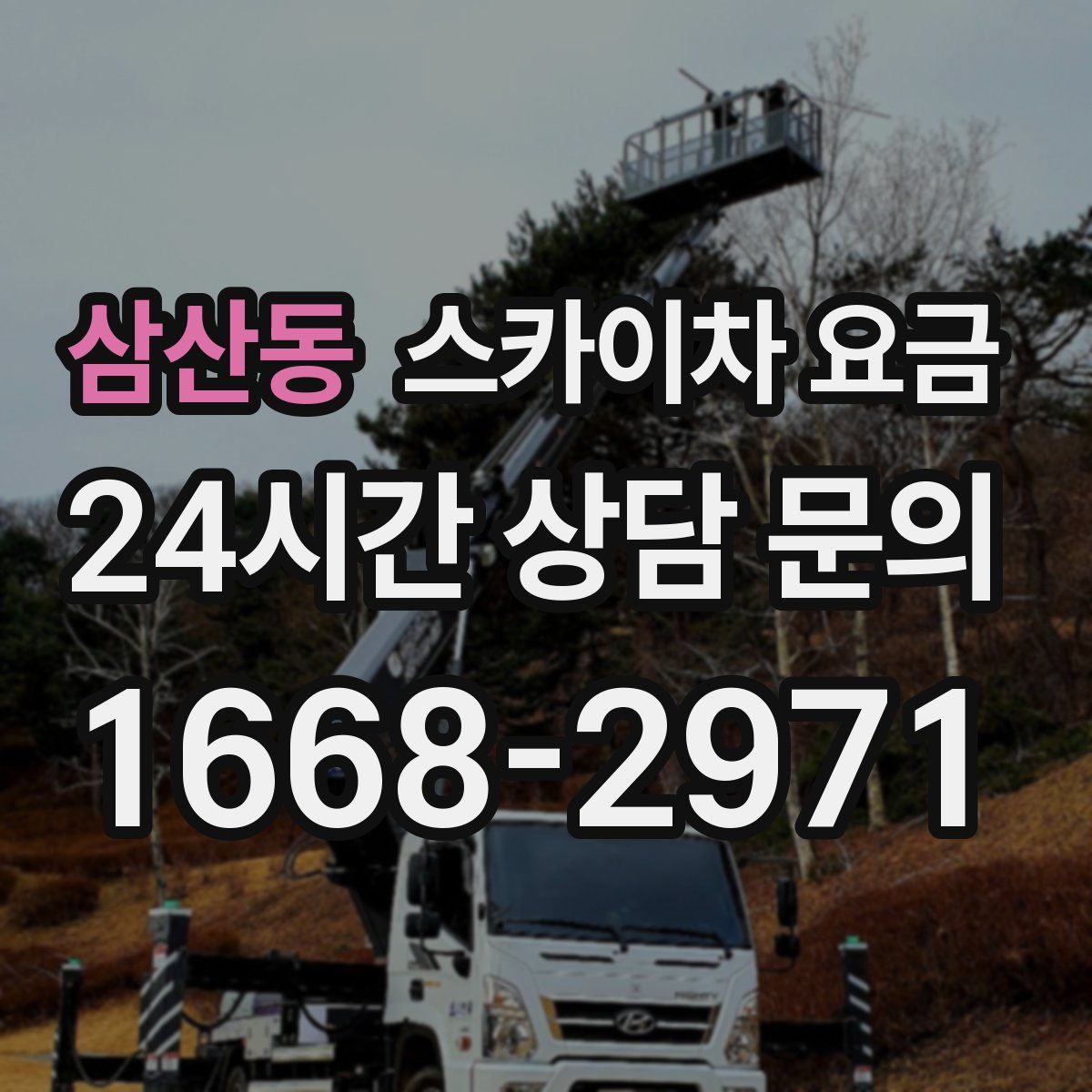 삼산동 스카이차 요금
