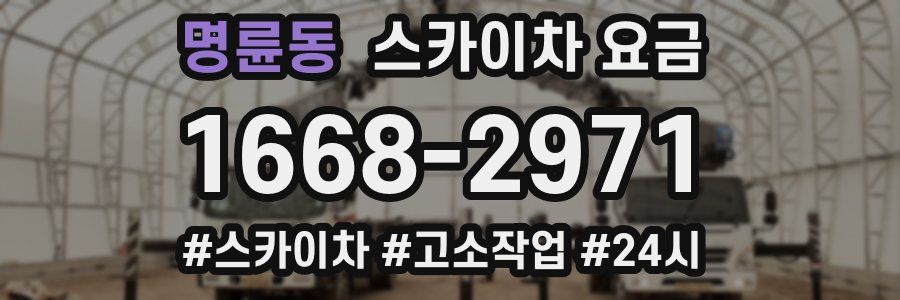명륜동 스카이차 요금