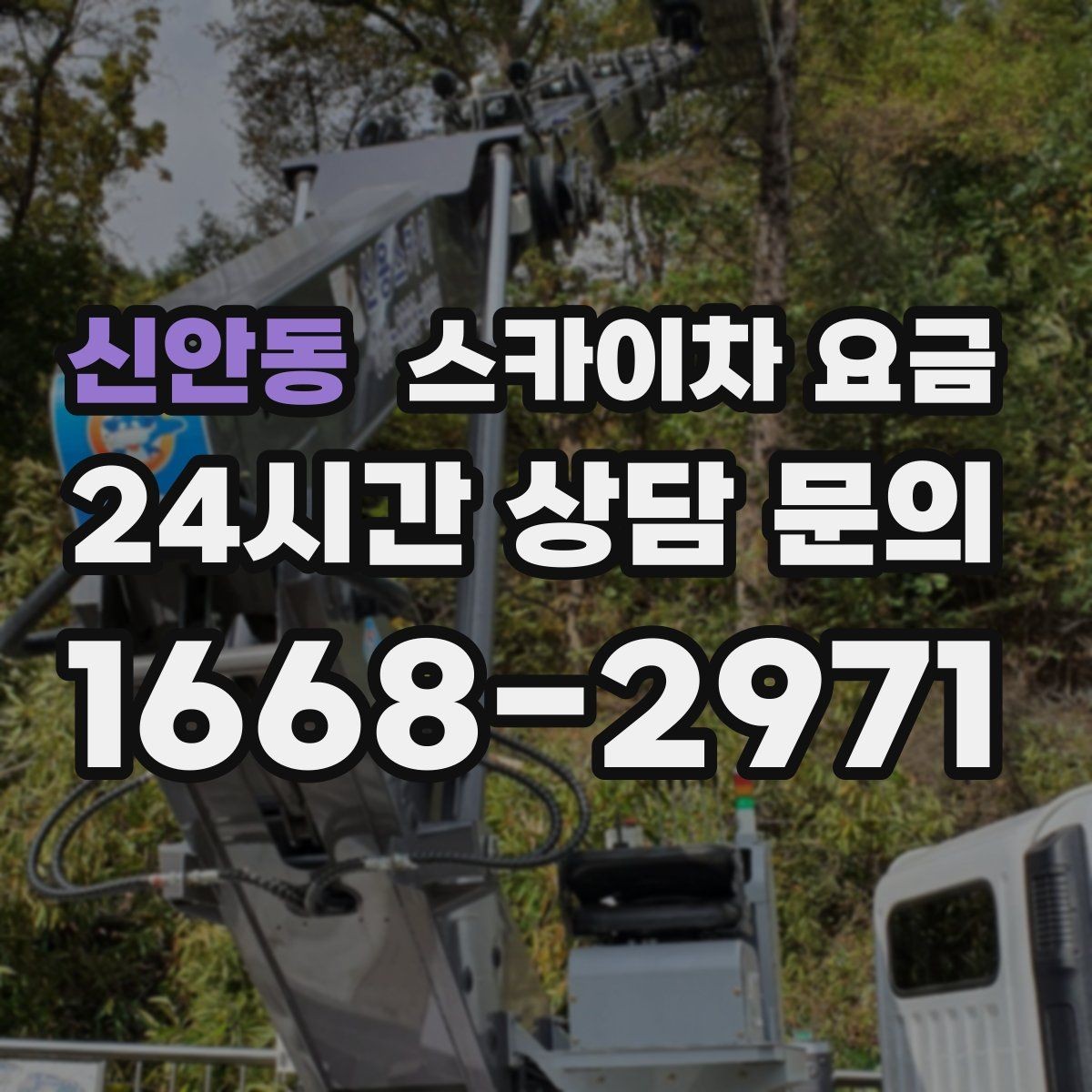 신안동 스카이차 요금 우천·강풍 시 일정 변경이 생기면 어떻게 될까