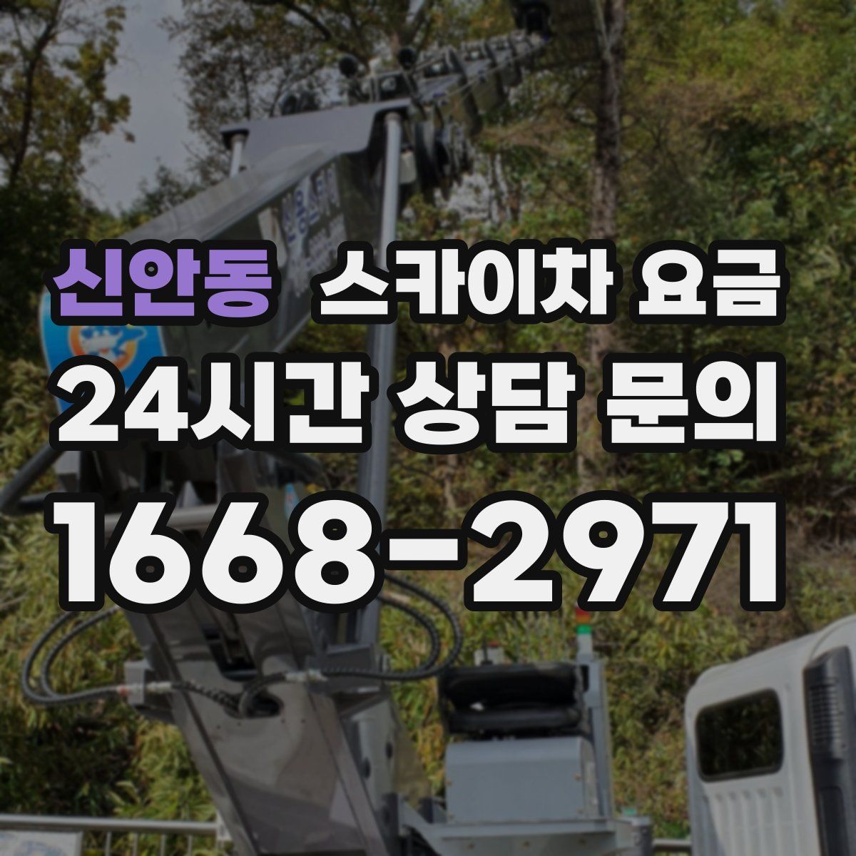 신안동 스카이차 요금