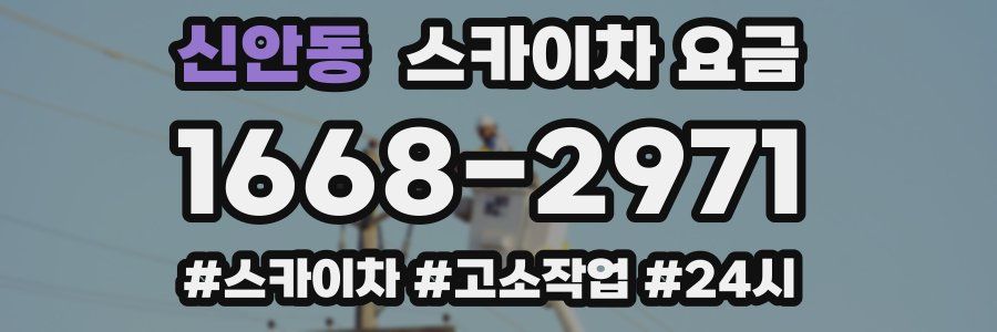 신안동 스카이차 요금