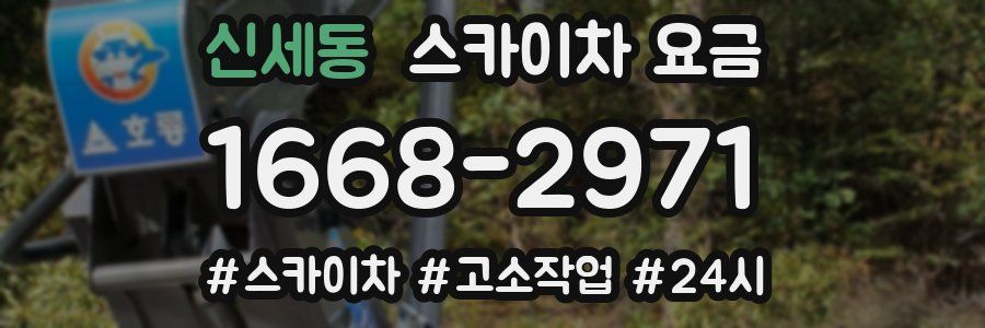 신세동 스카이차 요금