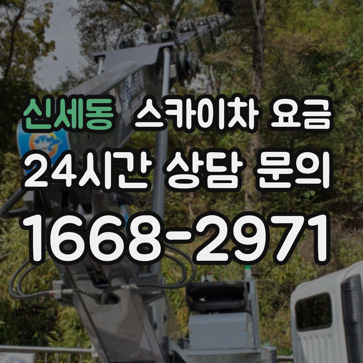 신세동 스카이차 요금