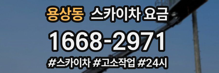 용상동 스카이차 요금