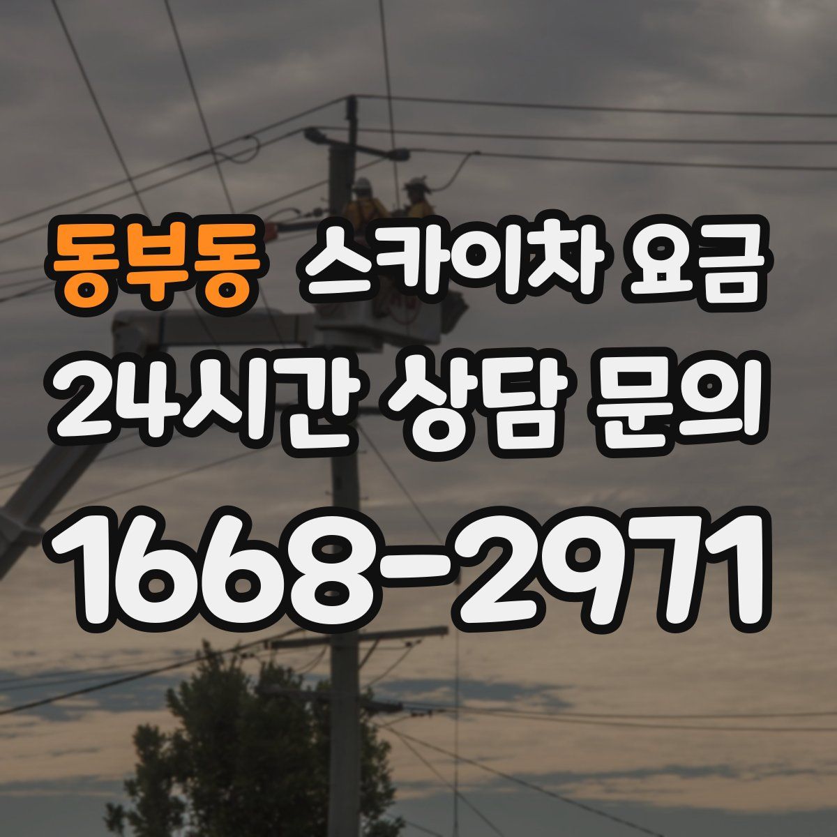 동부동 스카이차 요금