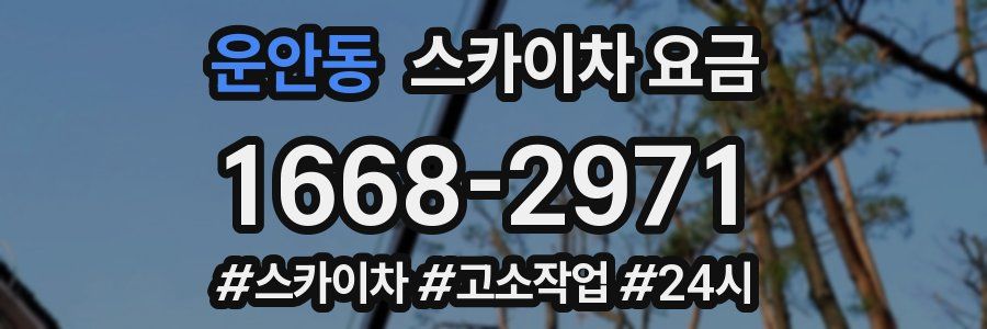 운안동 스카이차 요금