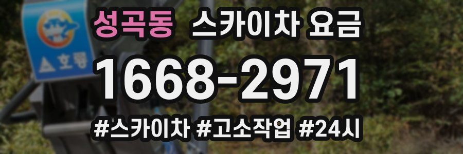 성곡동 스카이차 요금