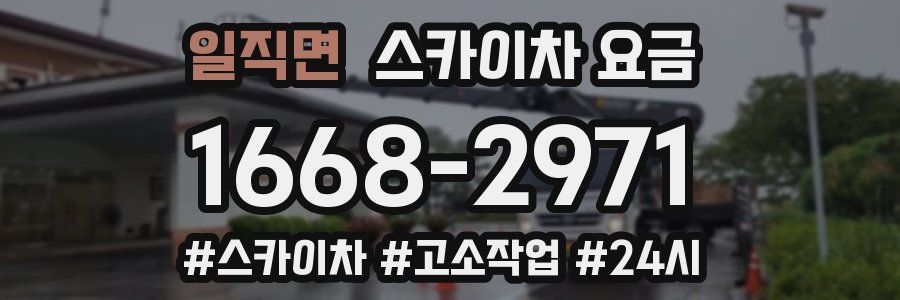 일직면 스카이차 요금