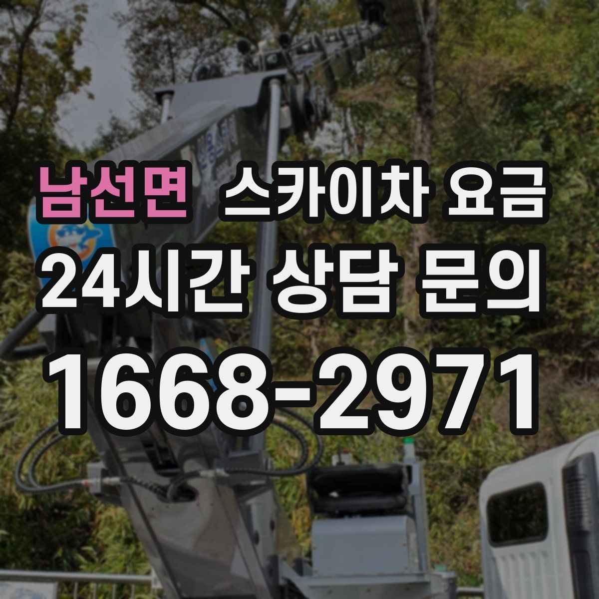 남선면 스카이차 요금