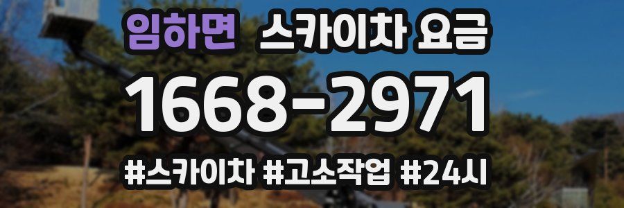 임하면 스카이차 요금