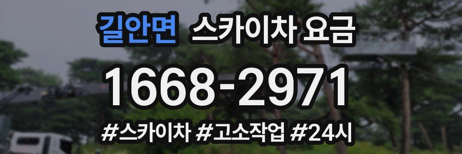 길안면 스카이차 요금