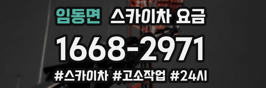 임동면 스카이차 요금