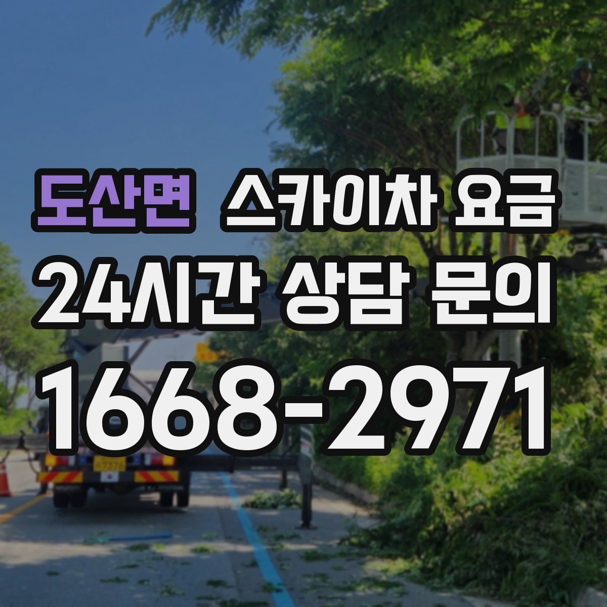 도산면 스카이차 요금
