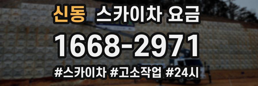 신동 스카이차 요금
