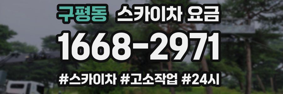 구평동 스카이차 요금