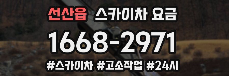 선산읍 스카이차 요금