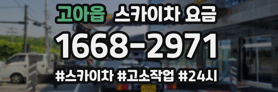 고아읍 스카이차 요금