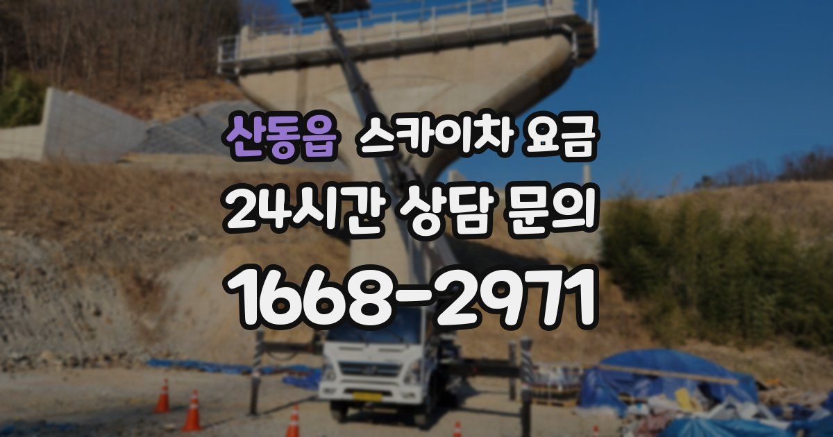 산동읍 스카이차 요금