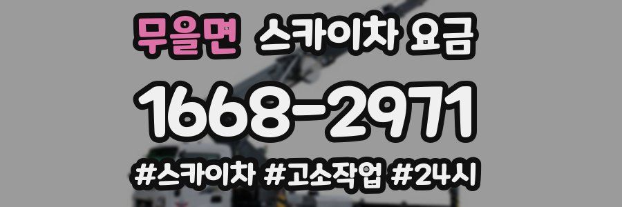 무을면 스카이차 요금