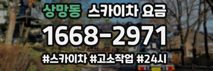 상망동 스카이차 요금