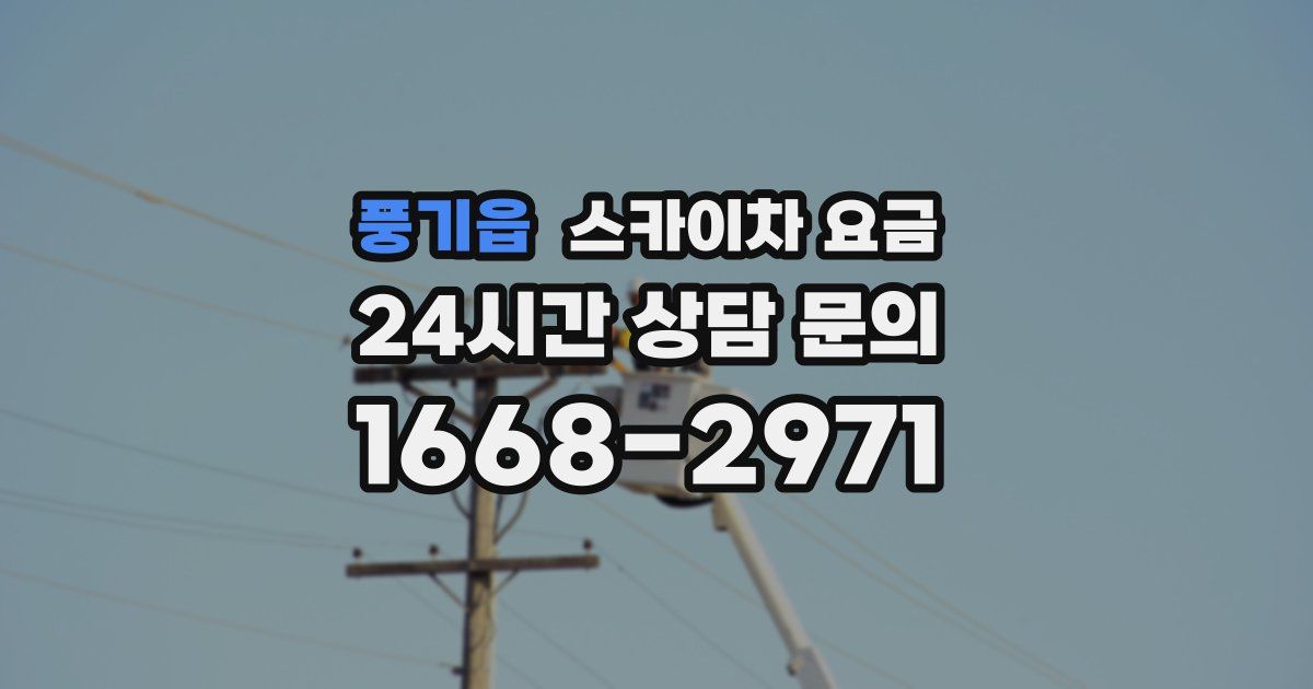풍기읍 스카이차 요금