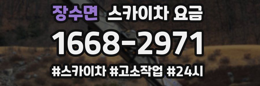 장수면 스카이차 요금