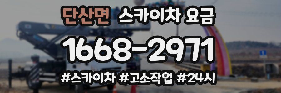 단산면 스카이차 요금