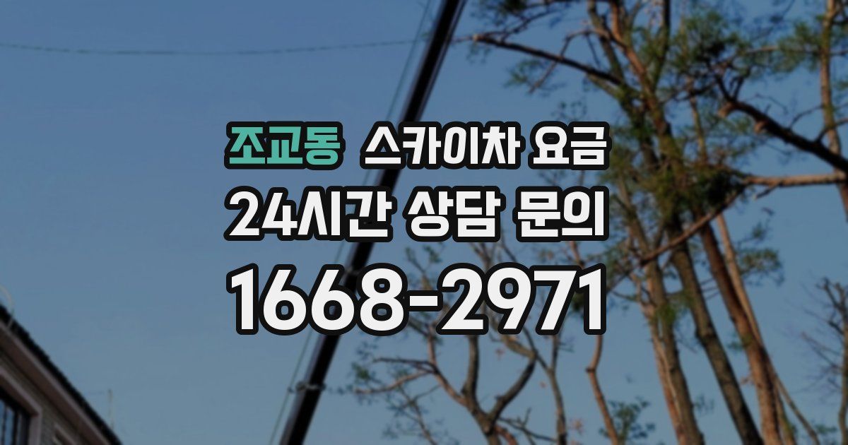 조교동 스카이차 요금