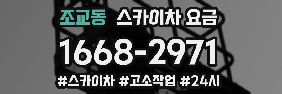 조교동 스카이차 요금