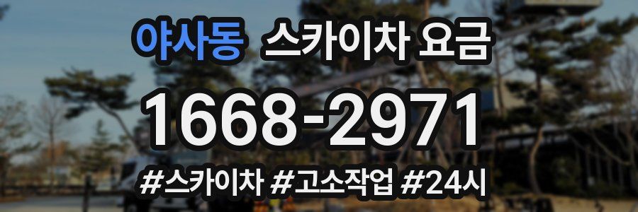 야사동 스카이차 요금