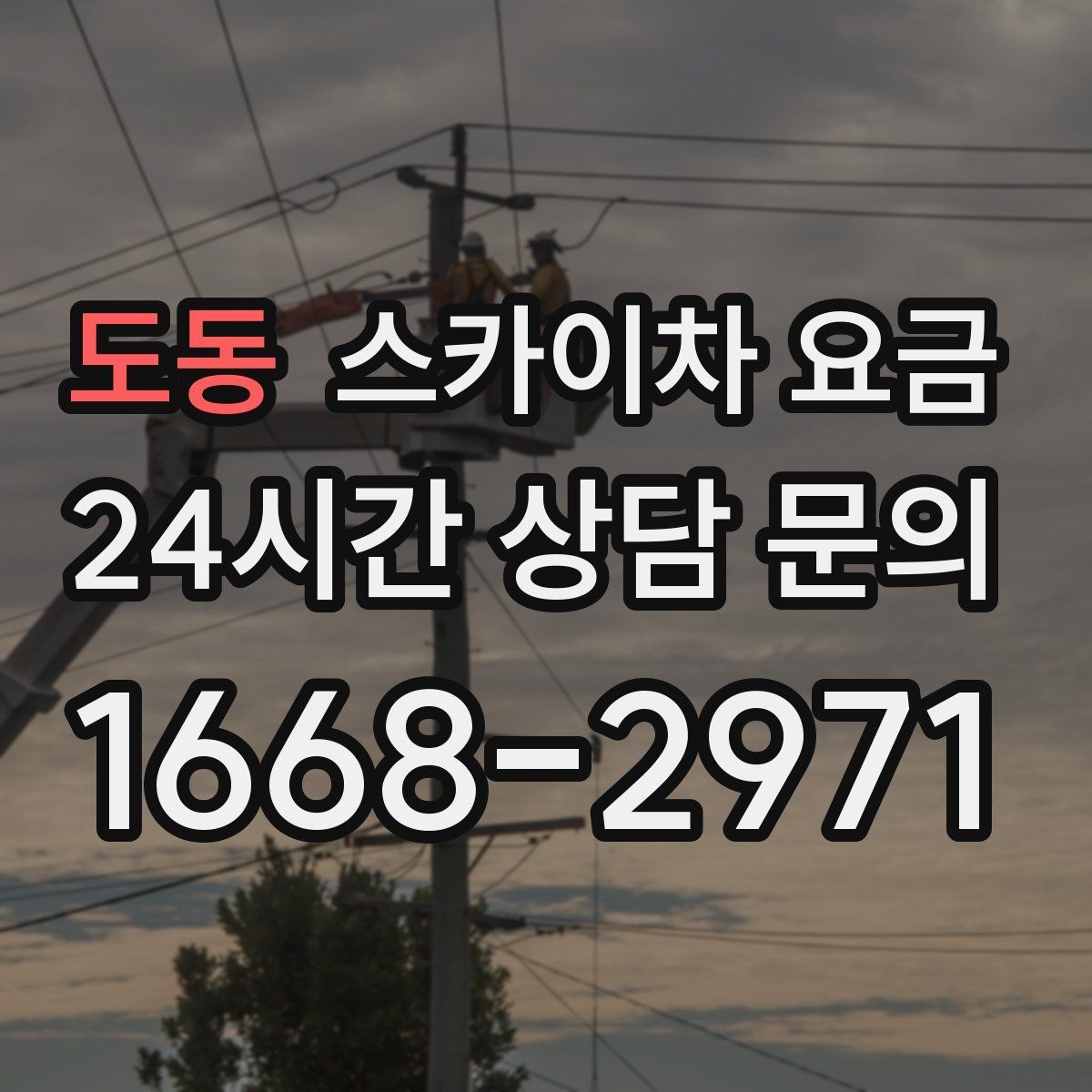 도동 스카이차 요금 한 번 부를 때 같이 하면 좋은 작업 리스트