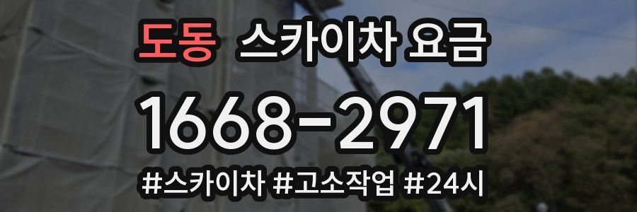 도동 스카이차 요금