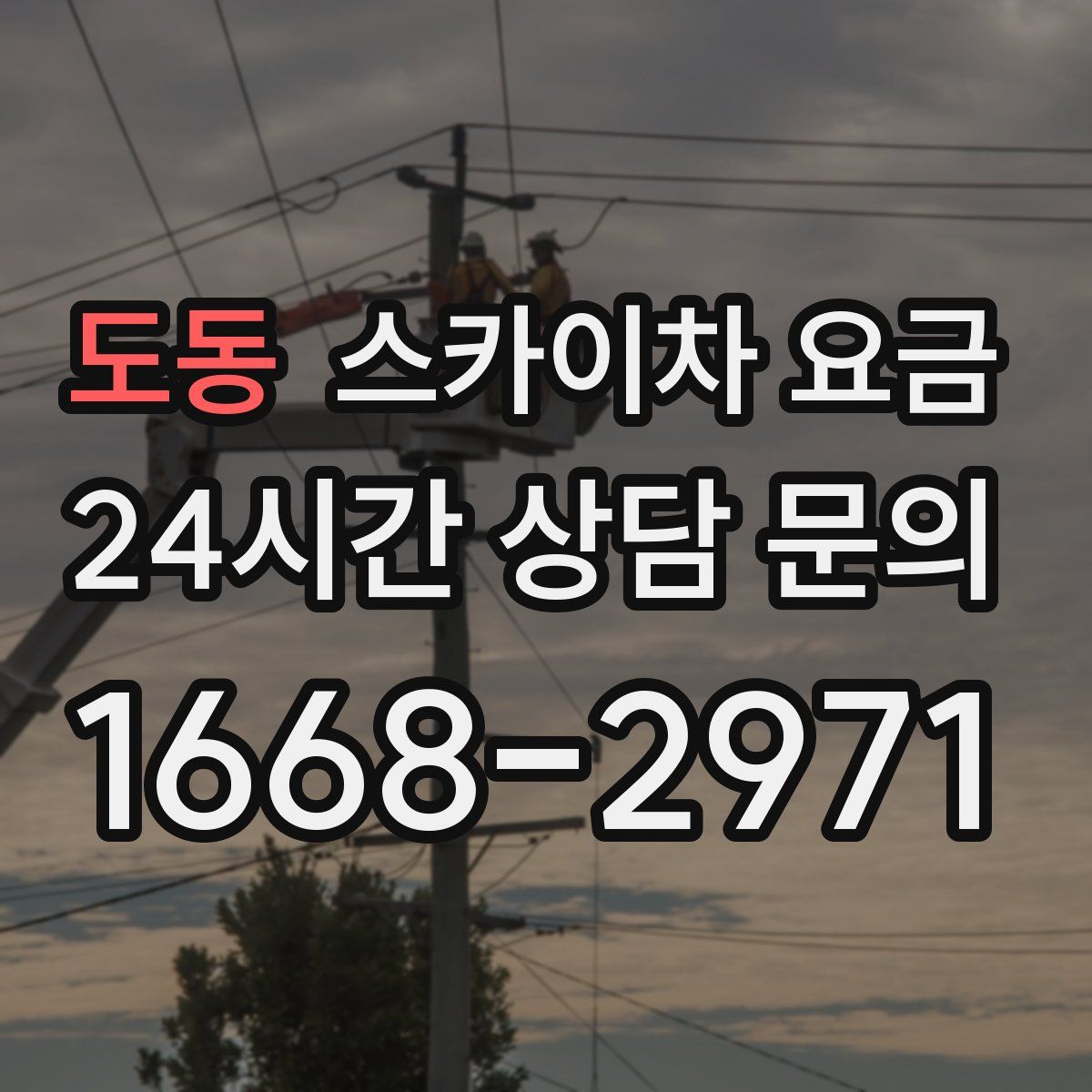 도동 스카이차 요금