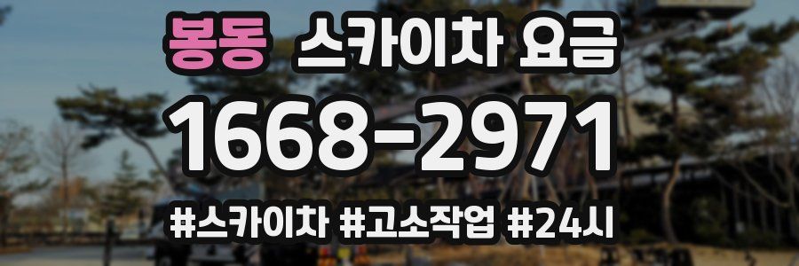 봉동 스카이차 요금