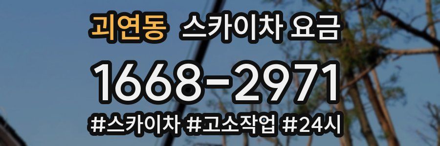 괴연동 스카이차 요금