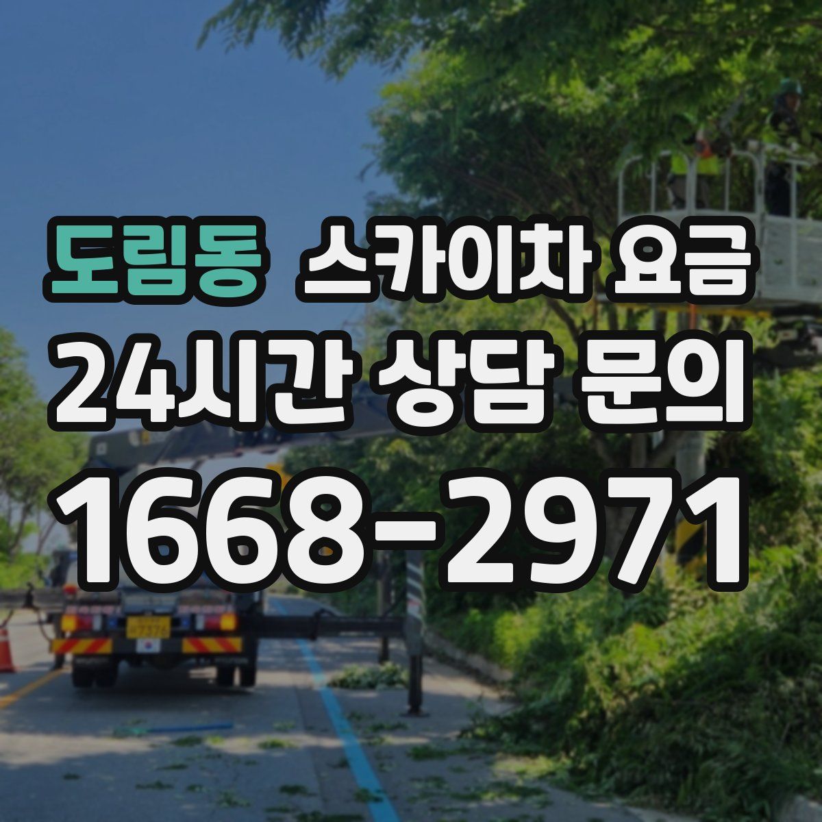 도림동 스카이차 요금
