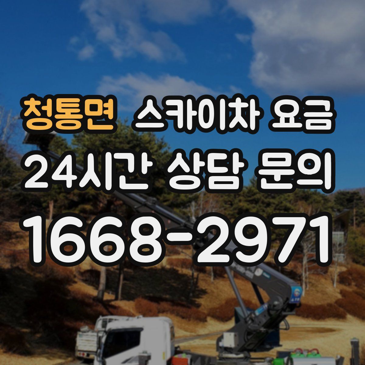 청통면 스카이차 요금