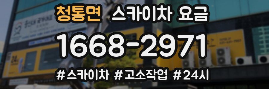 청통면 스카이차 요금