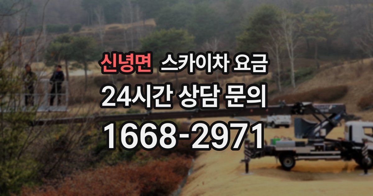 신녕면 스카이차 요금