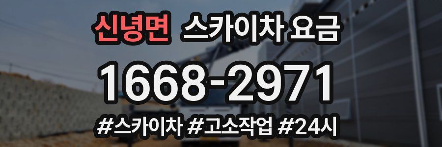 신녕면 스카이차 요금
